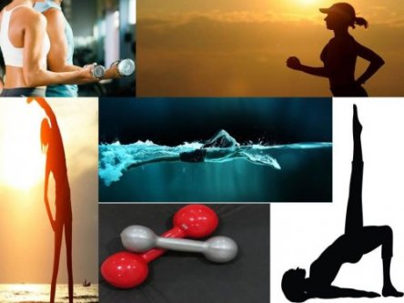 Qual O Melhor Exerc�cio F�sico?