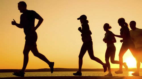 Quer Ter Resultados No Treinamento?